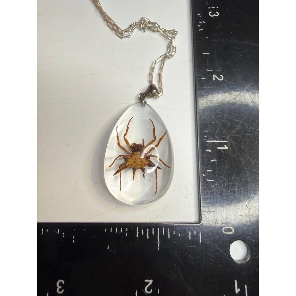 Real Spiny Orb Weaver Spider Resin Teardrop Pendant Necklace Oddity Curiosity